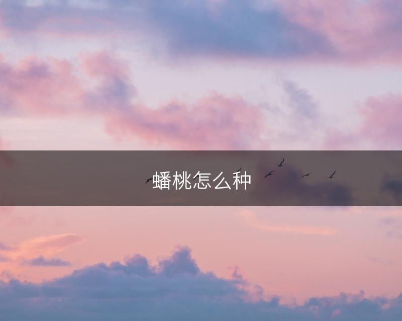 蟠桃怎么种(图1)