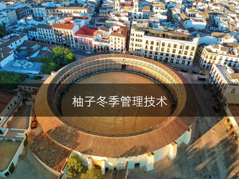 柚子冬季管理技术(图1)