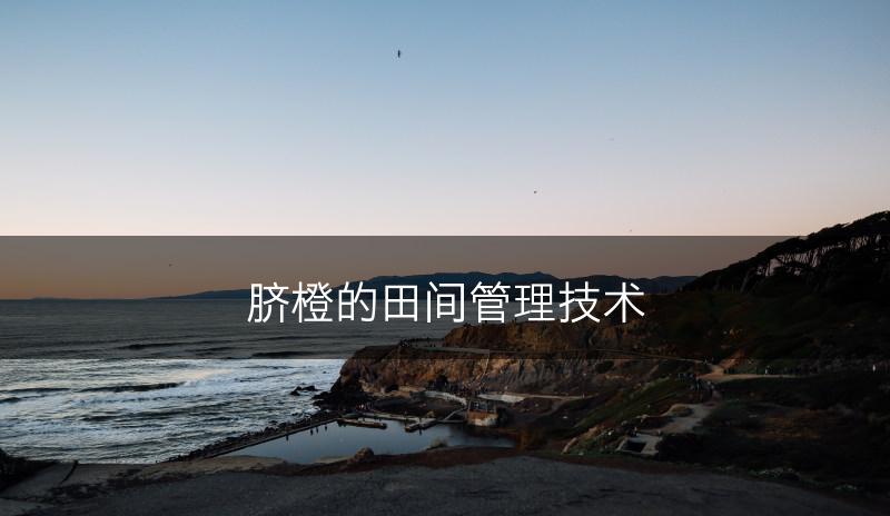 脐橙的田间管理技术(图1)