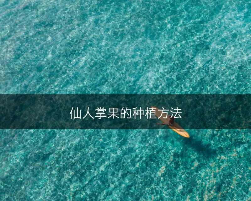 仙人掌果的种植方法(图1)