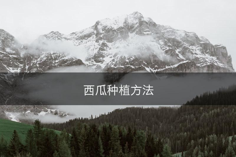 西瓜种植方法(图1)