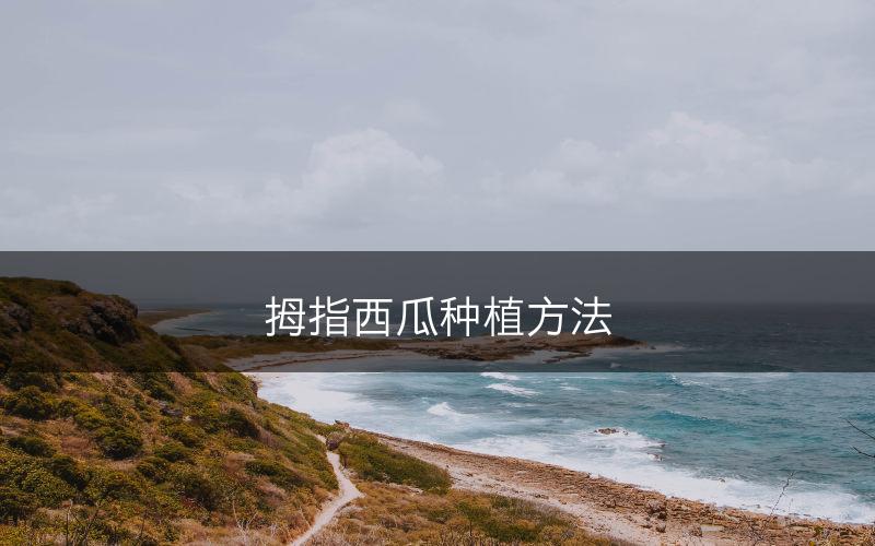 拇指西瓜种植方法(图1)
