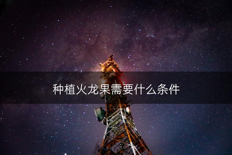 种植火龙果需要什么条件(图1)