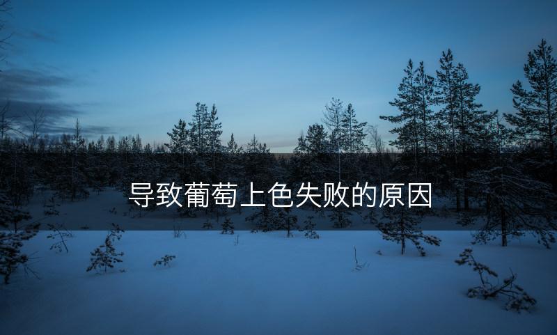 导致葡萄上色失败的原因(图1)