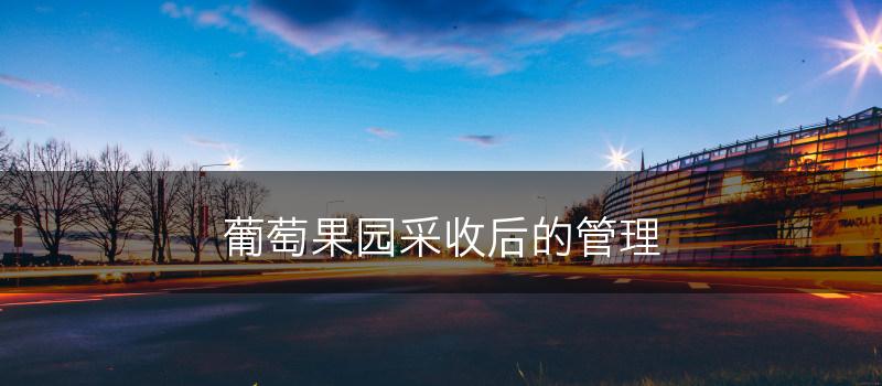 葡萄果园采收后的管理(图1)