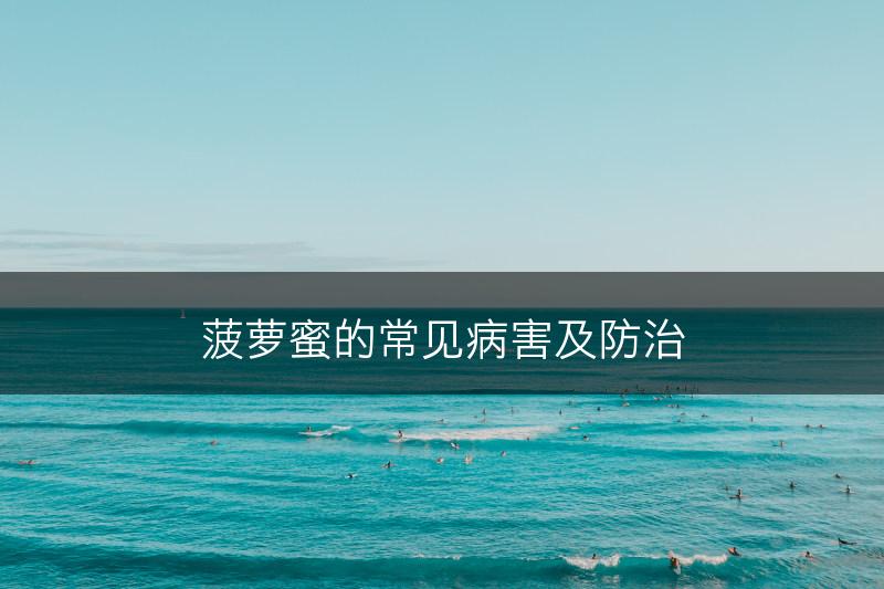 菠萝蜜的常见病害及防治(图1)