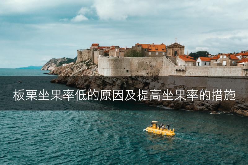 板栗坐果率低的原因及提高坐果率的措施(图1)