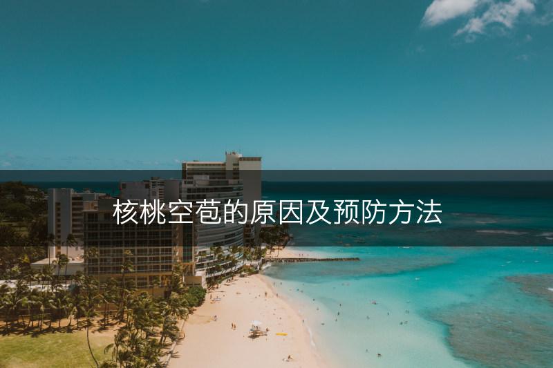 核桃空苞的原因及预防方法(图1)