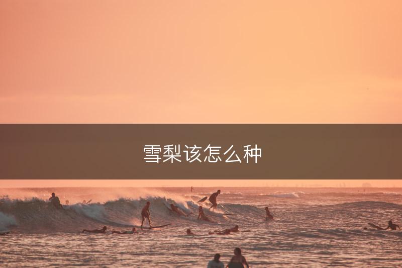 雪梨该怎么种(图1)