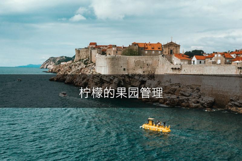 柠檬的果园管理(图1)