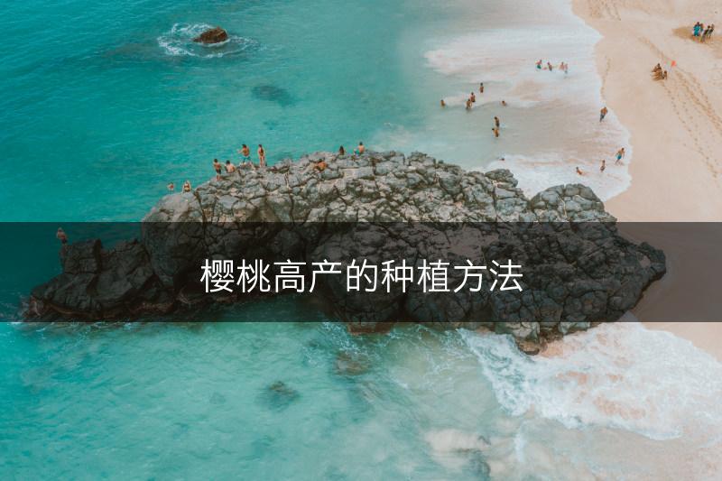 樱桃高产的种植方法(图1)