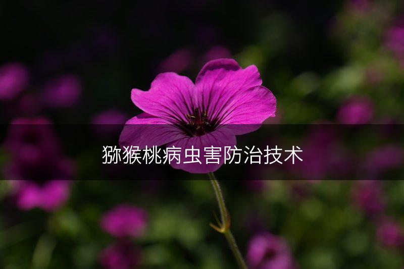 猕猴桃病虫害防治技术(图1)