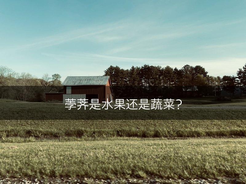 荸荠是水果还是蔬菜？(图1)
