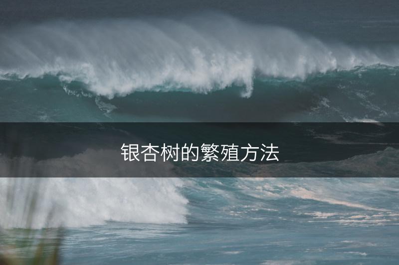 银杏树的繁殖方法(图1)