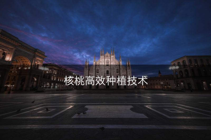 核桃高效种植技术(图1)