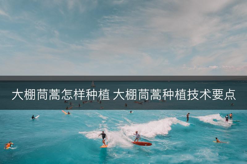 大棚茼蒿怎样种植 大棚茼蒿种植技术要点(图1)