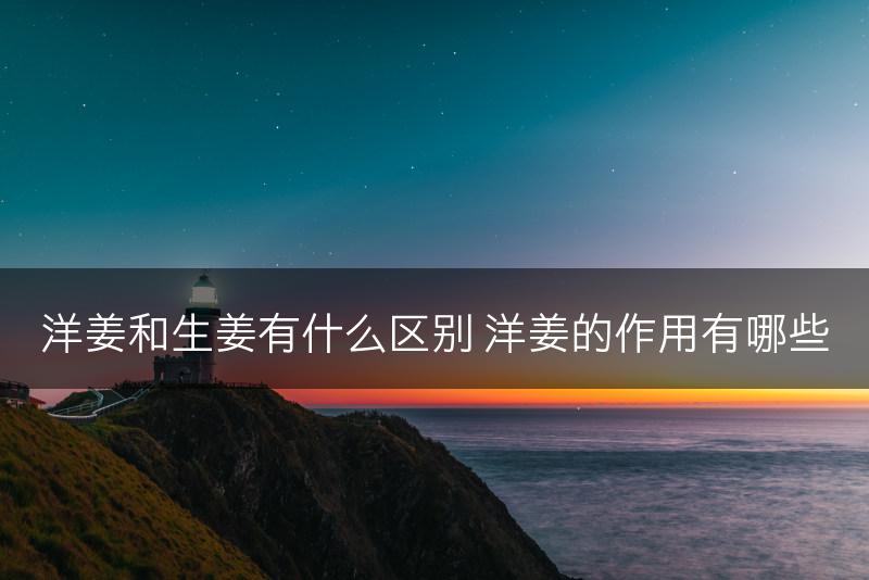 洋姜和生姜有什么区别 洋姜的作用有哪些(图1)