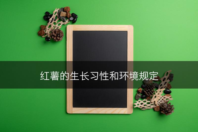 红薯的生长习性和环境规定(图1)