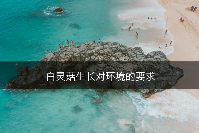 白灵菇生长对环境的要求(图1)