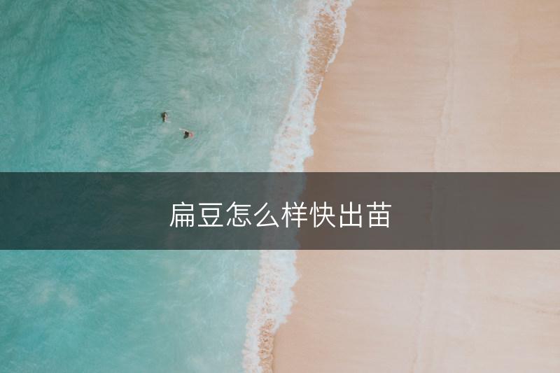 扁豆怎么样快出苗(图1)