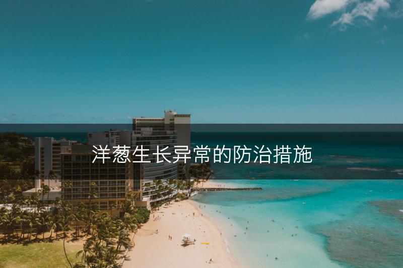 洋葱生长异常的防治措施(图1)
