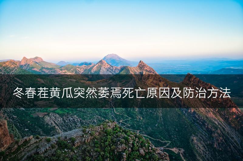 冬春茬黄瓜突然萎焉死亡原因及防治方法(图1)