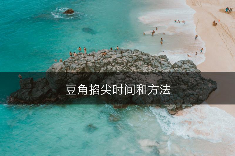 豆角掐尖时间和方法(图1)