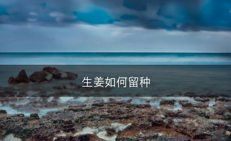 生姜如何留种(图1)