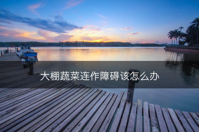 大棚蔬菜连作障碍该怎么办(图1)