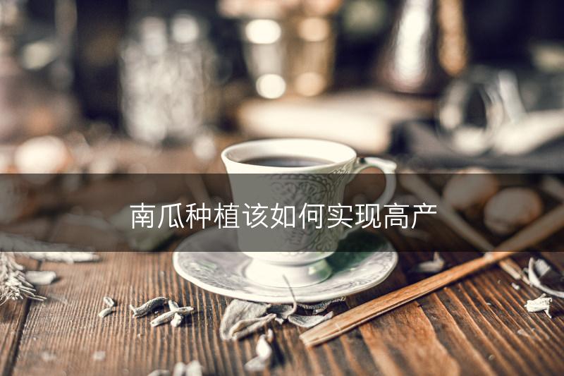 南瓜种植该如何实现高产(图1)