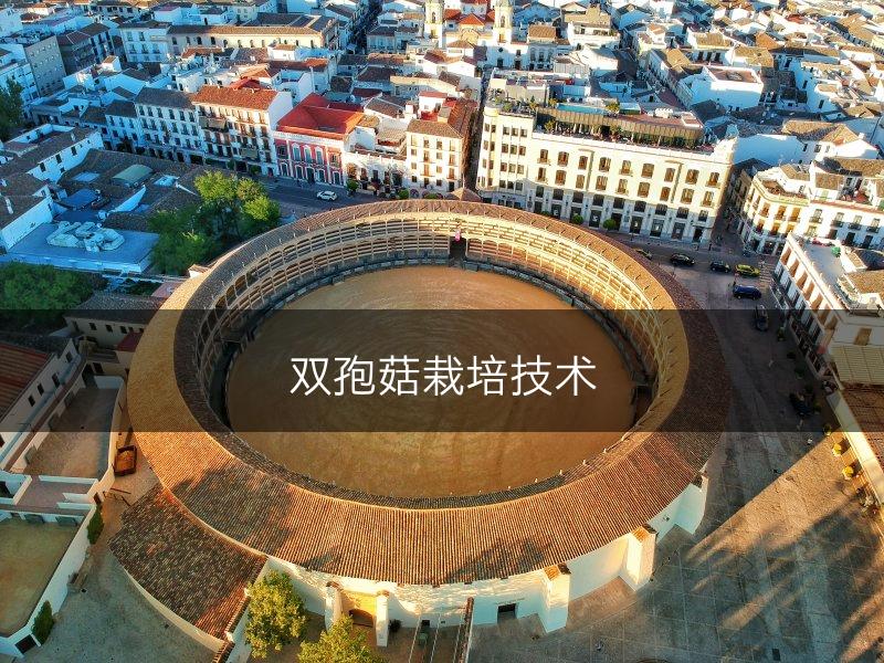 双孢菇栽培技术(图1)