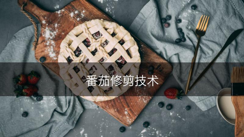 番茄修剪技术(图1)