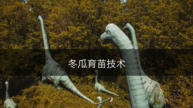 冬瓜育苗技术(图1)