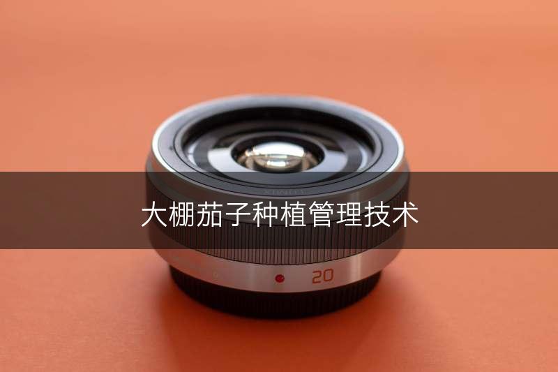 大棚茄子种植管理技术(图1)