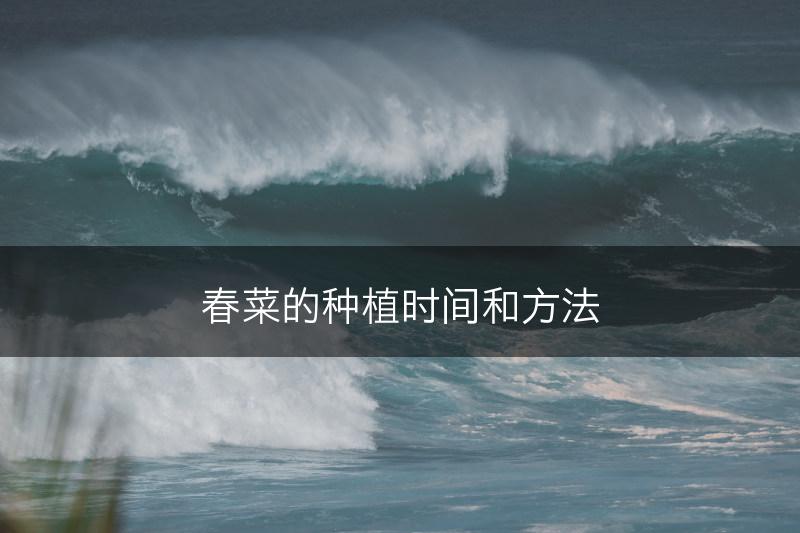 春菜的种植时间和方法(图1)