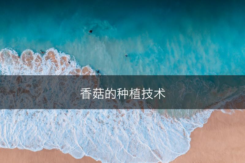 香菇的种植技术(图1)