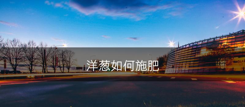 洋葱如何施肥(图1)