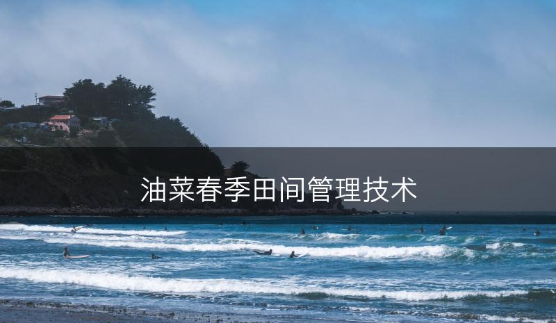 油菜春季田间管理技术(图1)