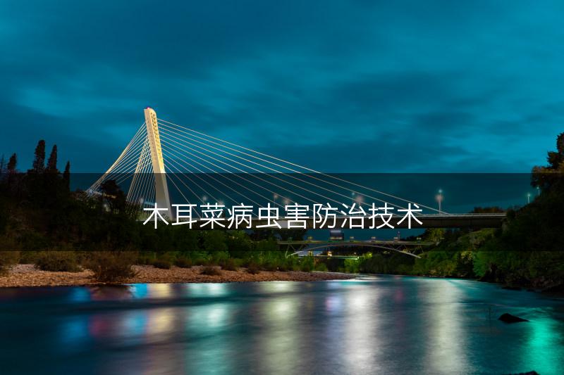 木耳菜病虫害防治技术(图1)