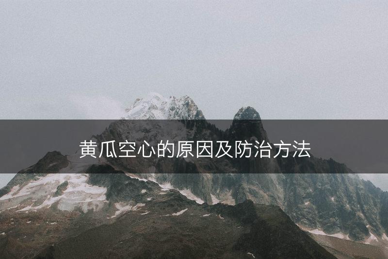 黄瓜空心的原因及防治方法(图1)