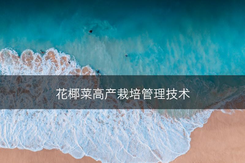 花椰菜高产栽培管理技术(图1)