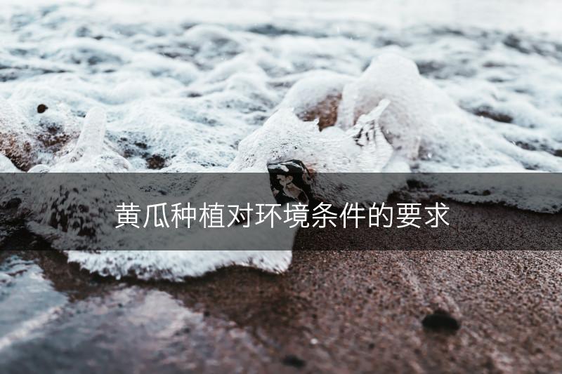 黄瓜种植对环境条件的要求(图1)