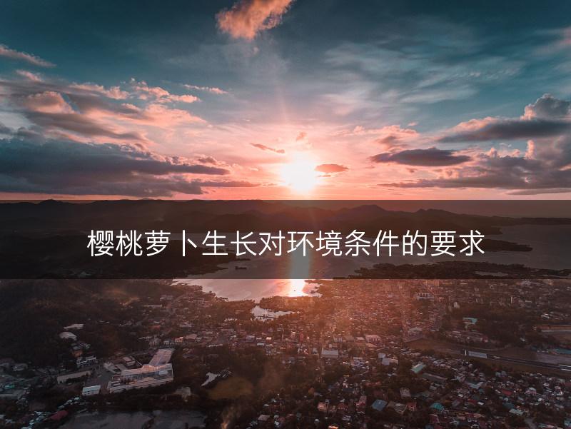 樱桃萝卜生长对环境条件的要求(图1)