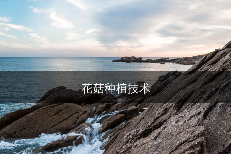 花菇种植技术(图1)