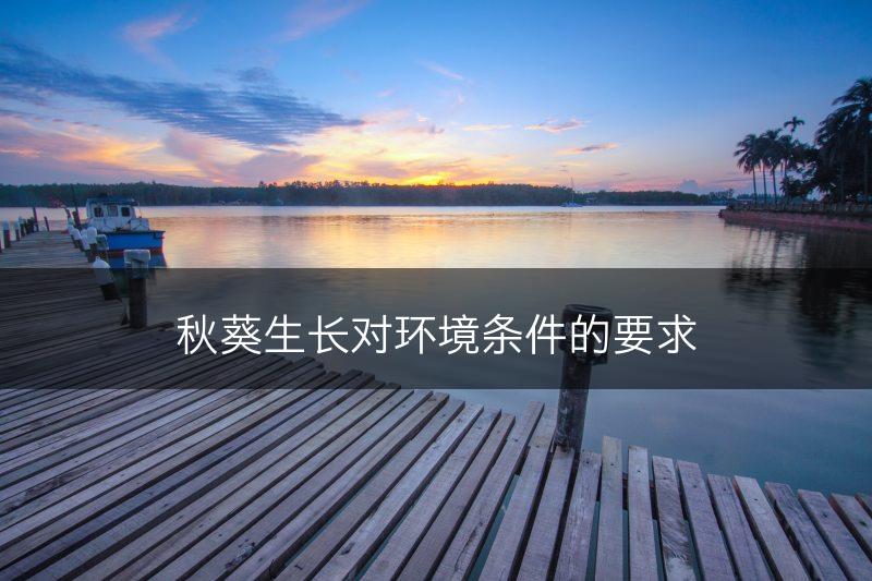 秋葵生长对环境条件的要求(图1)
