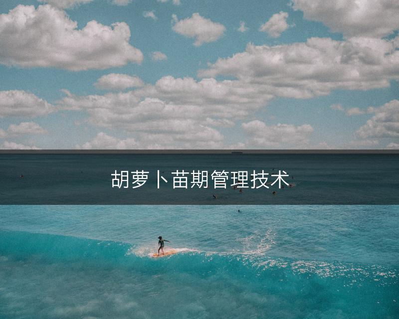 胡萝卜苗期管理技术(图1)