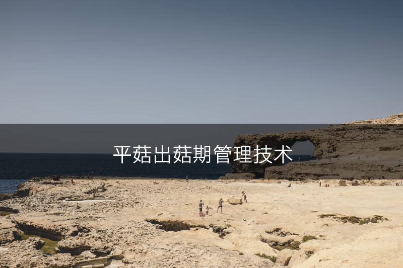 平菇出菇期管理技术(图1)