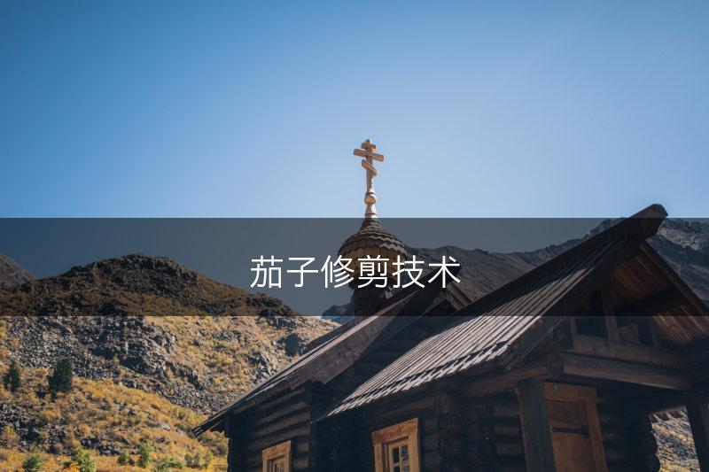 茄子修剪技术(图1)