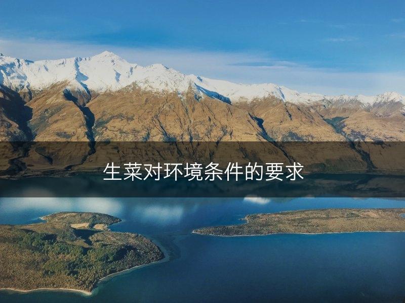 生菜对环境条件的要求(图1)