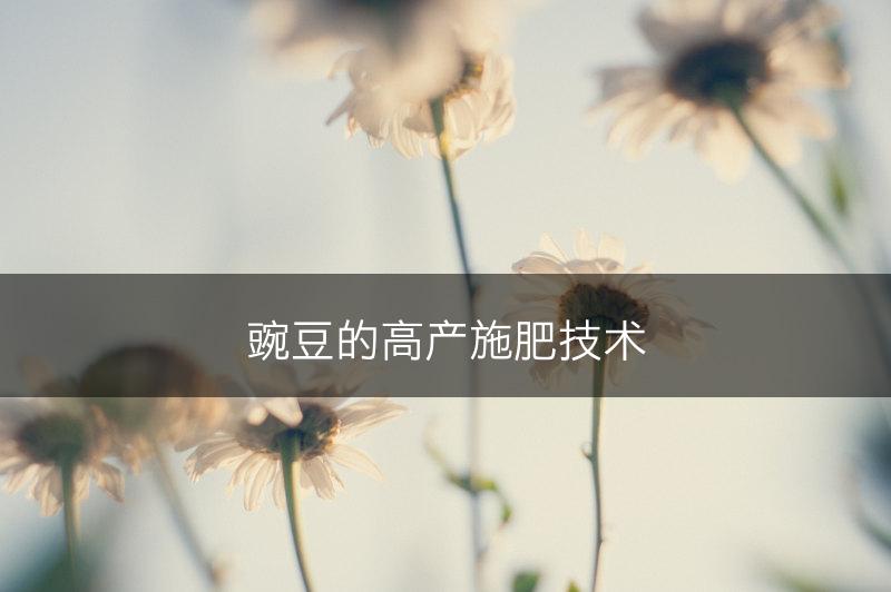豌豆的高产施肥技术(图1)